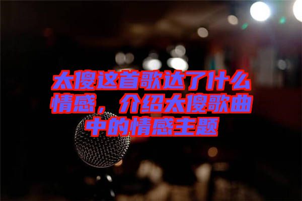 太傻這首歌達(dá)了什么情感，介紹太傻歌曲中的情感主題