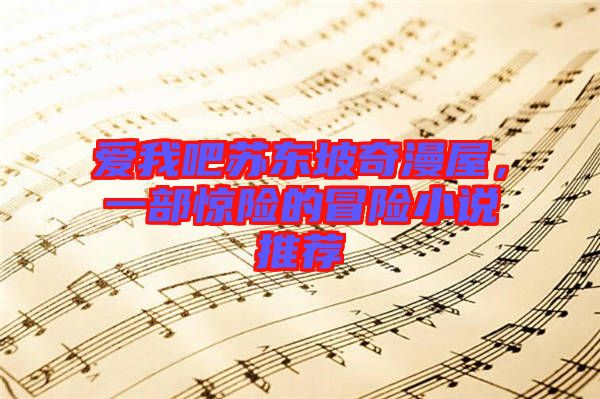 愛(ài)我吧蘇東坡奇漫屋，一部驚險(xiǎn)的冒險(xiǎn)小說(shuō)推薦