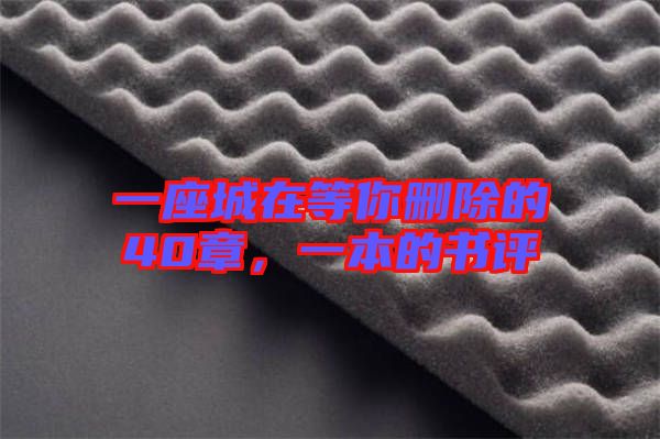 一座城在等你刪除的40章，一本的書評