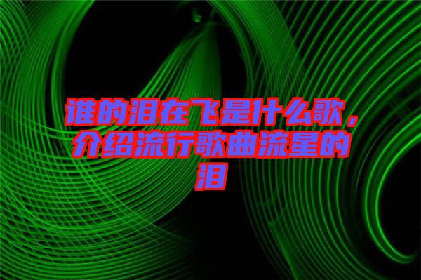誰(shuí)的淚在飛是什么歌，介紹流行歌曲流星的淚