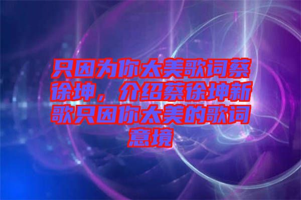 只因?yàn)槟闾栏柙~蔡徐坤，介紹蔡徐坤新歌只因你太美的歌詞意境