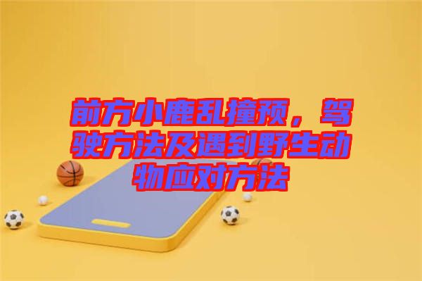 前方小鹿亂撞預(yù)，駕駛方法及遇到野生動物應(yīng)對方法