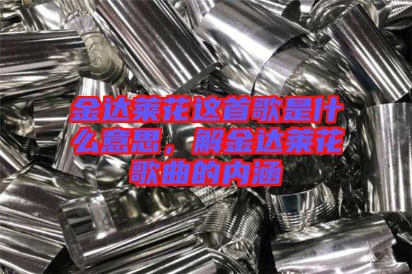 金達(dá)萊花這首歌是什么意思，解金達(dá)萊花歌曲的內(nèi)涵