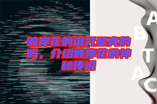 彼岸花的詛咒是真的嗎，介紹彼岸花的神秘傳說