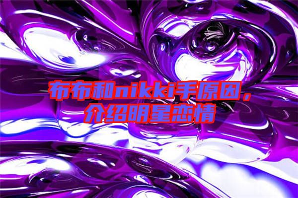 布布和nikki手原因，介紹明星戀情