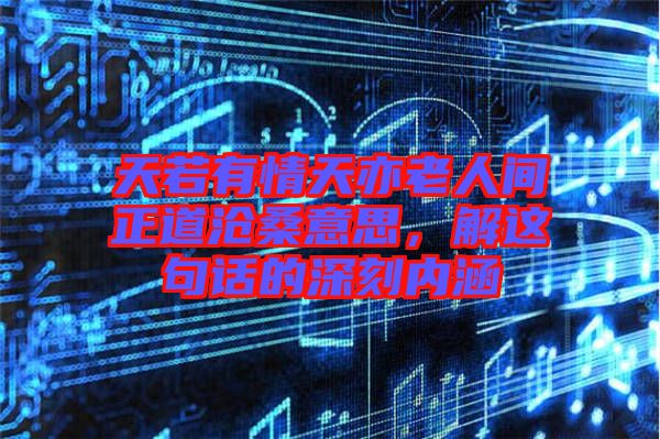 天若有情天亦老人間正道滄桑意思，解這句話的深刻內(nèi)涵