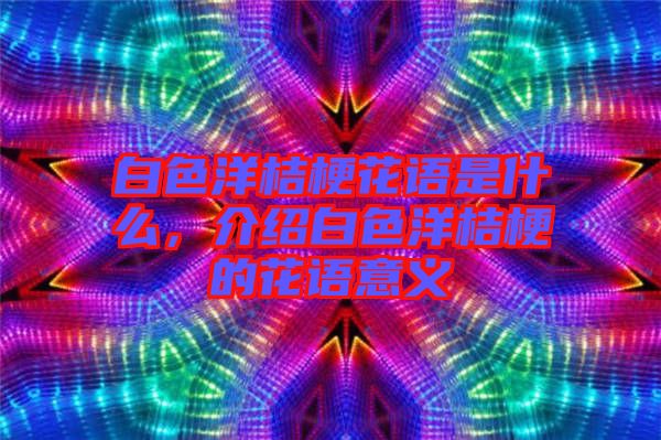 白色洋桔梗花語是什么，介紹白色洋桔梗的花語意義