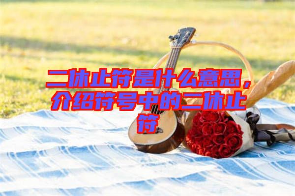 二休止符是什么意思，介紹符號中的二休止符