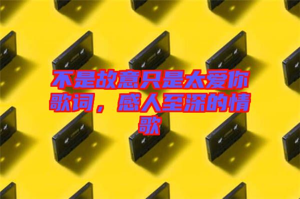 不是故意只是太愛你歌詞，感人至深的情歌