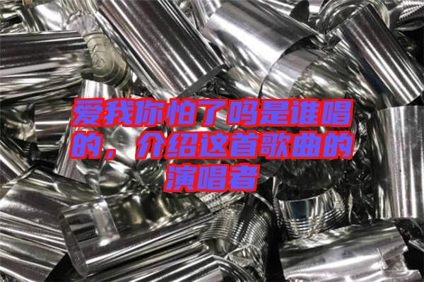 愛我你怕了嗎是誰唱的，介紹這首歌曲的演唱者