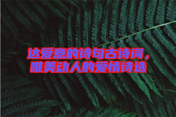 達(dá)愛意的詩(shī)句古詩(shī)詞，唯美動(dòng)人的愛情詩(shī)選
