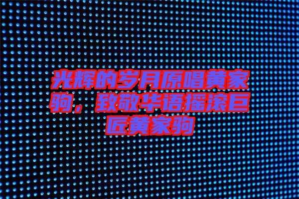 光輝的歲月原唱黃家駒，致敬華語搖滾巨匠黃家駒