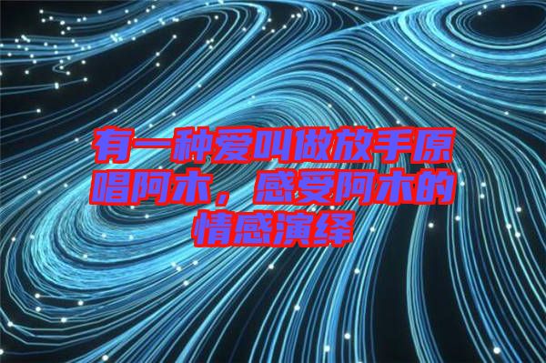 有一種愛叫做放手原唱阿木，感受阿木的情感演繹