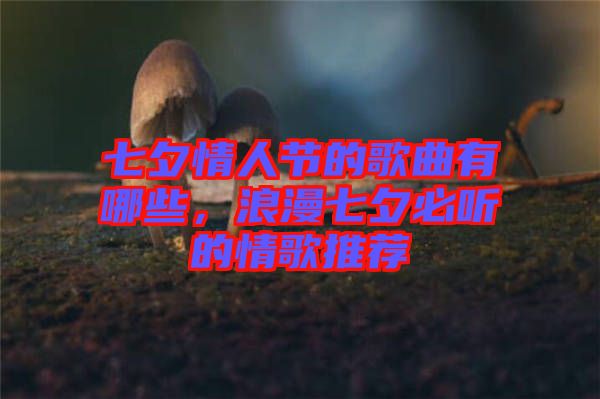七夕情人節(jié)的歌曲有哪些，浪漫七夕必聽的情歌推薦