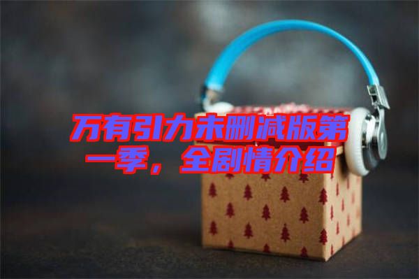 萬有引力未刪減版第一季，全劇情介紹