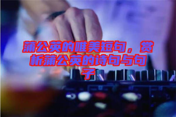 蒲公英的唯美短句，賞析蒲公英的詩句與句子