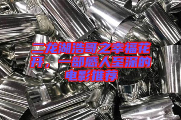 二龍湖浩哥之幸?；ㄩ_，一部感人至深的電影推薦
