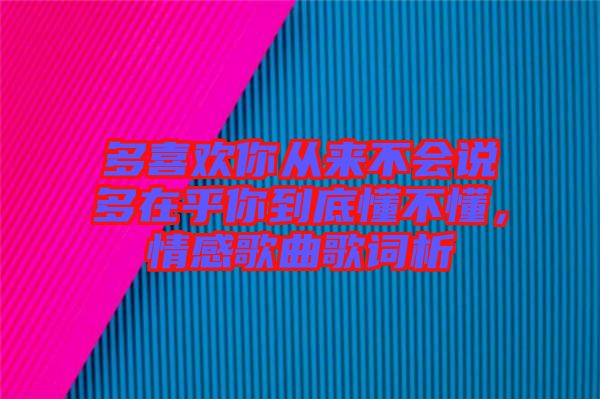 多喜歡你從來不會說多在乎你到底懂不懂，情感歌曲歌詞析