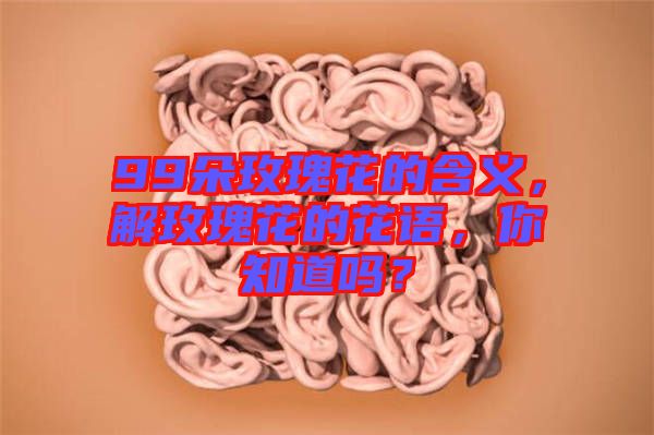 99朵玫瑰花的含義，解玫瑰花的花語，你知道嗎？