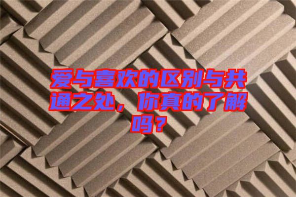 愛與喜歡的區(qū)別與共通之處，你真的了解嗎？