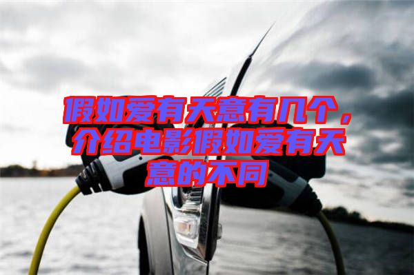 假如愛(ài)有天意有幾個(gè)，介紹電影假如愛(ài)有天意的不同