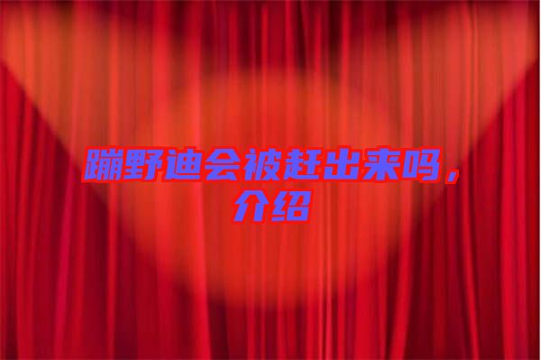 蹦野迪會被趕出來嗎，介紹