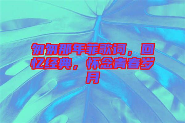 匆匆那年菲歌詞，回憶經(jīng)典，懷念青春歲月