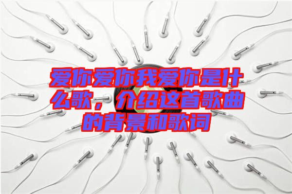 愛你愛你我愛你是什么歌，介紹這首歌曲的背景和歌詞