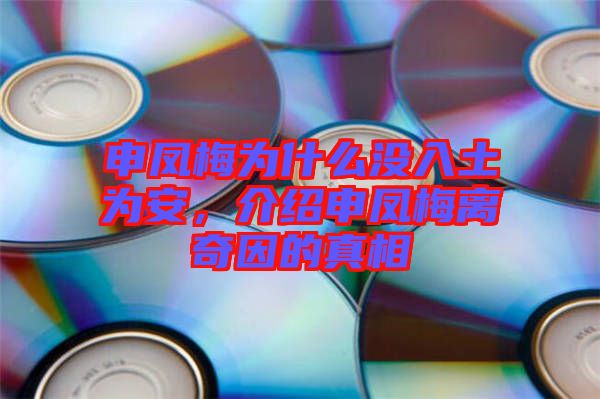 申鳳梅為什么沒入土為安，介紹申鳳梅離奇因的真相