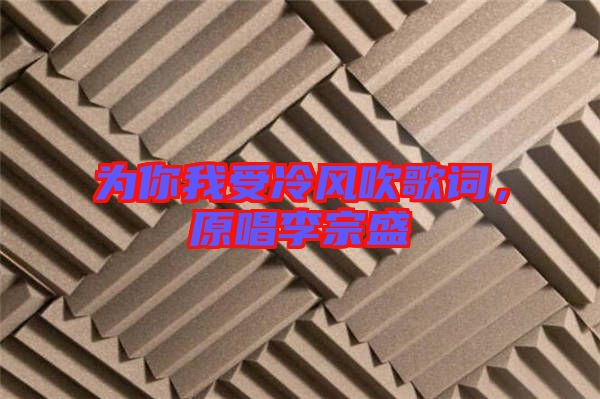 為你我受冷風吹歌詞，原唱李宗盛