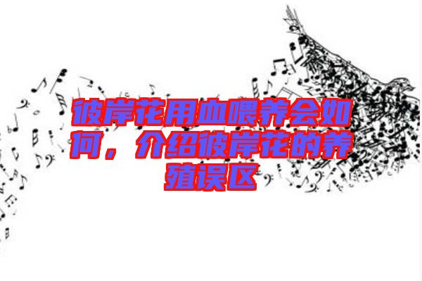 彼岸花用血喂養(yǎng)會如何，介紹彼岸花的養(yǎng)殖誤區(qū)