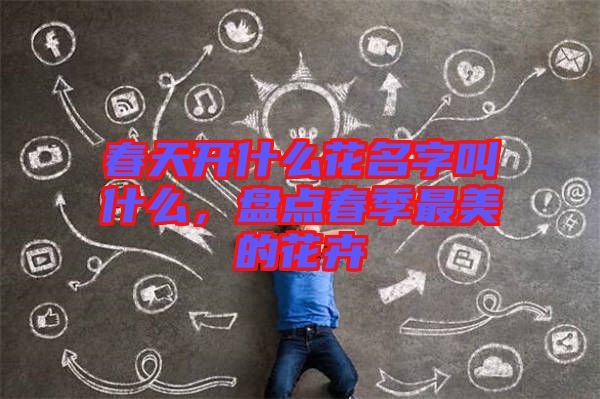 春天開什么花名字叫什么，盤點春季最美的花卉