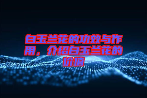 白玉蘭花的功效與作用，介紹白玉蘭花的價值