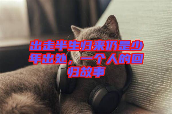 出走半生歸來仍是少年出處，一個(gè)人的回歸故事