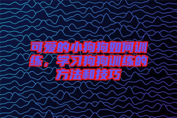 可愛的小狗狗如何訓練，學習狗狗訓練的方法和技巧
