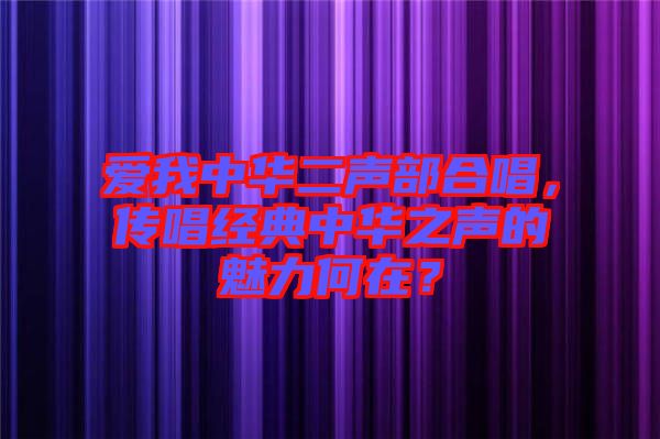 愛我中華二聲部合唱，傳唱經(jīng)典中華之聲的魅力何在？