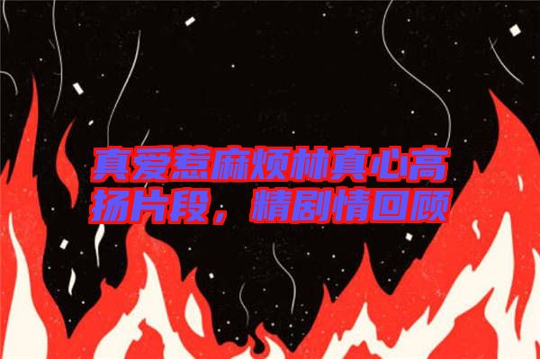 真愛惹麻煩林真心高揚片段，精劇情回顧