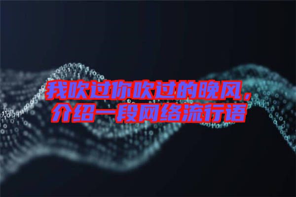 我吹過你吹過的晚風，介紹一段網絡流行語