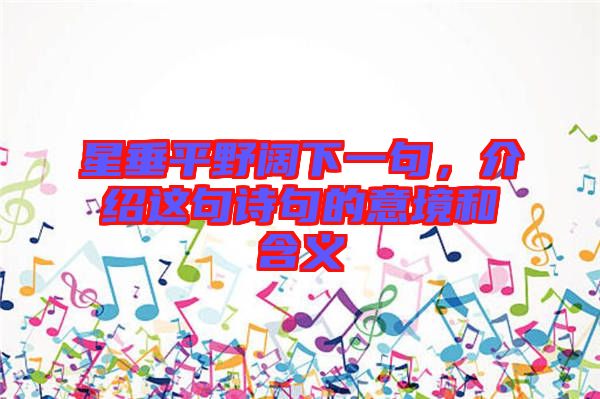 星垂平野闊下一句，介紹這句詩(shī)句的意境和含義
