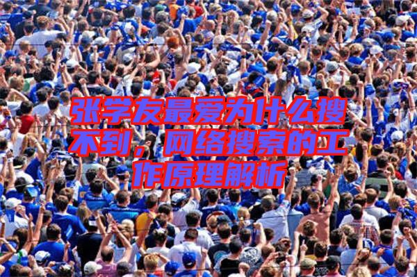 張學(xué)友最愛為什么搜不到，網(wǎng)絡(luò)搜索的工作原理解析
