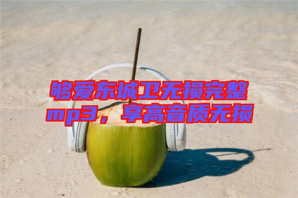 夠愛東城衛(wèi)無損完整mp3，享高音質(zhì)無損