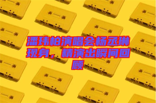 潘瑋柏演唱會楊丞琳現(xiàn)身，精演出瞬間回顧