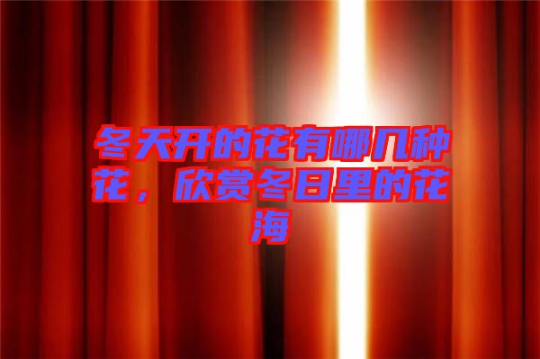 冬天開的花有哪幾種花，欣賞冬日里的花海