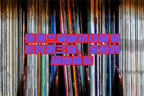 張蕙蘭瑜伽初級簡易系列第三輯，全新的瑜伽體驗