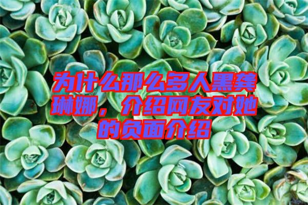 為什么那么多人黑龔琳娜，介紹網(wǎng)友對(duì)她的負(fù)面介紹