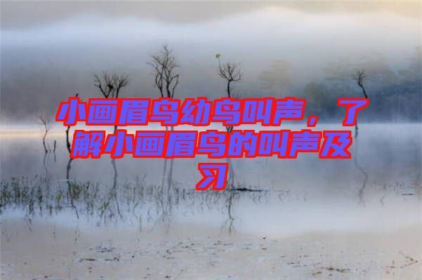 小畫(huà)眉鳥(niǎo)幼鳥(niǎo)叫聲，了解小畫(huà)眉鳥(niǎo)的叫聲及習(xí)