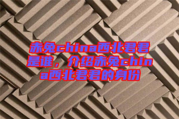 赤兔china西北君君是誰，介紹赤兔china西北君君的身份