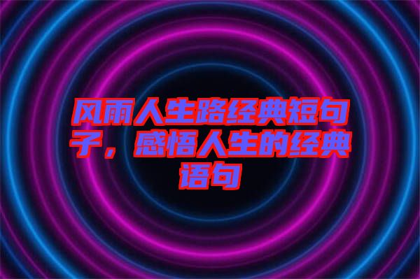 風(fēng)雨人生路經(jīng)典短句子，感悟人生的經(jīng)典語句