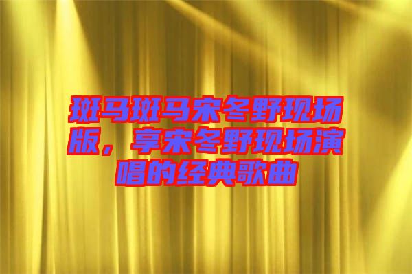 斑馬斑馬宋冬野現(xiàn)場(chǎng)版，享宋冬野現(xiàn)場(chǎng)演唱的經(jīng)典歌曲