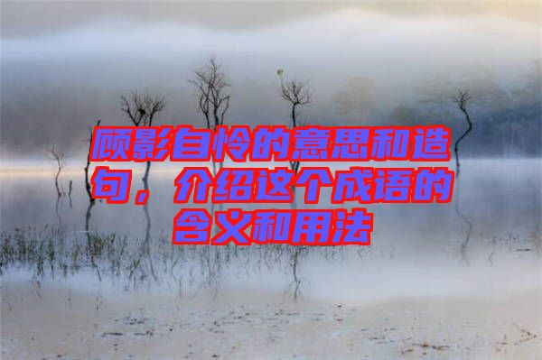 顧影自憐的意思和造句，介紹這個(gè)成語(yǔ)的含義和用法